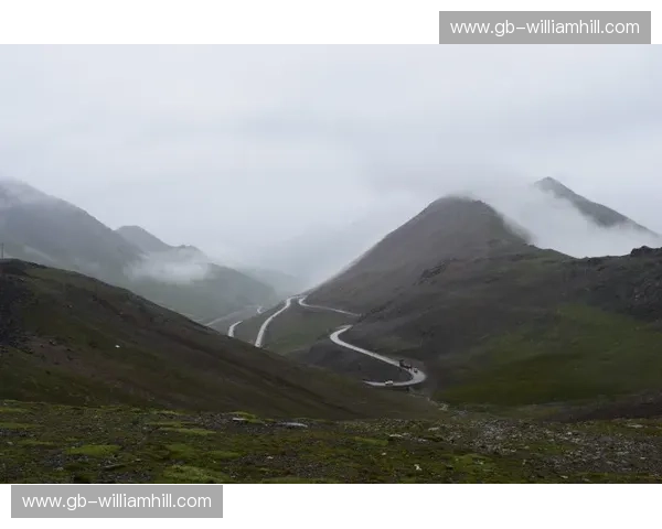雪山之巅与江城之魂：新疆天山与武汉卓尔的绿色对决